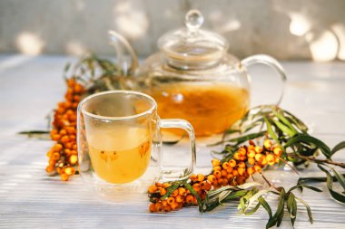 Taze deniz karabatak çayı, şeffaf bir çaydanlık içinde doğal ve yatıştırıcı bir içecek, lezzetli ve tıbbi bir içecek.