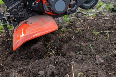 Motor cultivator with a raised front wheel and a furrow inserted into the ground during ploughing of the field before sowing seeds and planting seedlings in the spring..