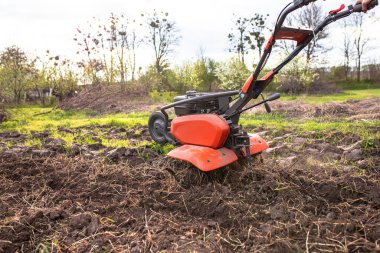 Motor cultivator with a raised front wheel and a furrow inserted into the ground during ploughing of the field before sowing seeds and planting seedlings in the spring..