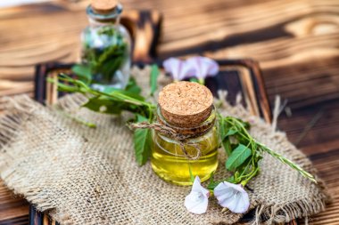 Convolvulus arvensis, ya da çiçek yağıyla iksir ya da tentür yapan tarla yosunu. Üst Manzara. Tahta kesme tahtasındaki taze bitkiler.