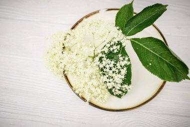 Altın kenarlı bir tabakta taze kesilmiş mürver çiçekleri. Bitkisel ilaç yapmak için güzel çiçekler.