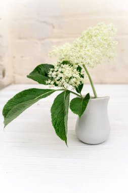 Apothecary test tube with a sample of elderberry flower for the manufacture of non-traditional phytomedicine preparations