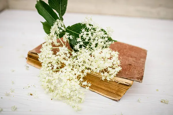 Spiritual travels with a book of self-care spells with recipes for spa salons made of elderberry juice. Elderberry flowers on a white wooden background near a vintage book.. Herbal medicine