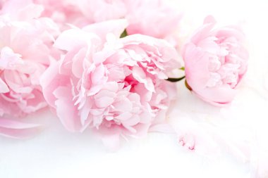 Beyaz bir masada zarif bir şekilde sergilenen pembe şakayıklar. Üst Manzara. Metnin için boş yer. Düğün ya da Sevgililer Günü konsepti.