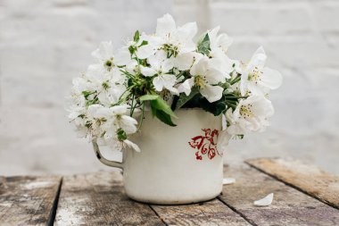 Metal bardakta elma çiçeği dalları olan sakin bir hayat..