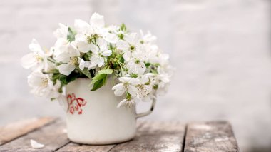 Metal bardakta elma çiçeği dalları olan sakin bir hayat..