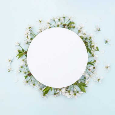 Mavi arka planda kiraz ağacı çiçekleri şeklinde yuvarlak çerçeve. Düz konum, üst görünüm, kopyalama alanı. Model.