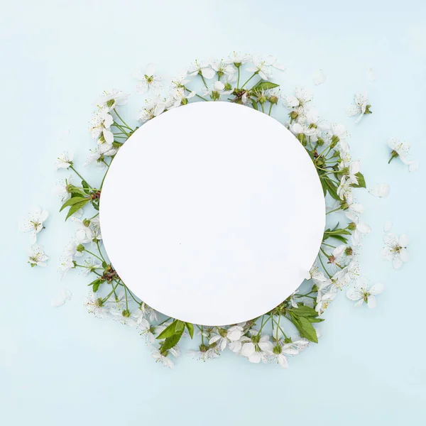 Mavi arka planda kiraz ağacı çiçekleri şeklinde yuvarlak çerçeve. Düz konum, üst görünüm, kopyalama alanı. Model.