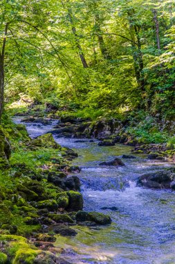 Hırvatistan 'ın Gorski Kotar bölgesindeki Kamachnik Deresi' nin yeşil ormanlarından geçen sakin bir dere, berrak mavi sularını yosunlu kayaların üzerine döküyor. Güneş ışığı ağaçların yoğun gölgesinden süzülür, nehir yatağında lekeli gölgeler bırakır.