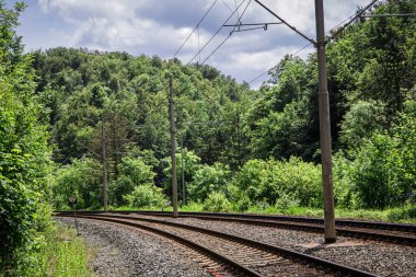 Parçalı bulutlu bir günde yemyeşil bir ormanın içinden geçen tren raylarının görüntüsü. İzler boş, arada bir enkaz parçaları görülebiliyor. Orman yoğun ve yapraklarla dolu, yüksek ağaçlar rayların üzerinde gölgeler oluşturuyor.. 