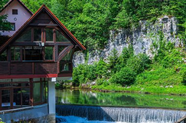 Hırvatistan 'ın Gorski Kotar bölgesindeki Kamachnik Deresi' ne bakan geniş pencereli kamara yoğun bir ormana yuva yapmış durumda..