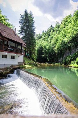 Hırvatistan 'ın Gorski Kotar bölgesindeki Kamachnik Deresi yakınlarındaki büyük pencereli kulübe, yoğun bir yeşil orman ortasında yer alıyor..