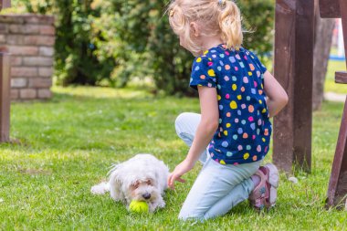 Beyaz Maltese köpeği tenis topuyla oynarken genç bir kız çimlerin üzerinde diz çöküyor. Kız mavi kot pantolon ve renkli bir benekli gömlek giyiyor. Köpeğine ilgiyle bakıyor gibi görünüyor..