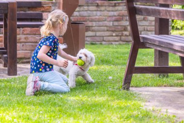 Küçük bir kız çimenli bir bahçede küçük beyaz bir Maltese Köpeğiyle yakalamaca oynuyor. Kız yerde diz çöküyor ve köpek ağzında yeşil bir tenis topu tutuyor. Arka planda bir ahşap bank görünür..