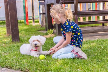 Sarı saçlı genç bir kız yeşil çimlerin üzerinde oturuyor ve beyaz bir Malta köpeğiyle oynuyor. Kız renkli bir gömlek ve kot pantolon giyiyor, ve köpek yan yatıyor, patilerinin arasında bir tenis topu var..