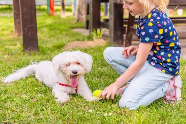 Genç bir kız çimlerin üzerinde diz çöküyor, uzanmış beyaz bir Maltese Köpeğine bakıyor. Kız renkli noktalı ve açık mavi pantolonlu mavi bir gömlek giyiyor. Köpek kırmızı bir yaka takıyor ve dili dışarı çıkıyor.. 