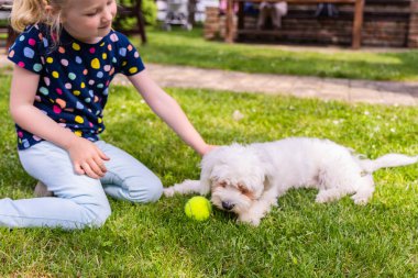 Mavi kot pantolon ve renkli bir gömlek giyen genç bir kız yeşil çimenlerde diz çöküyor. Beyaz bir köpekle oynuyor ve önlerinde sarı bir tenis topu oturuyor..