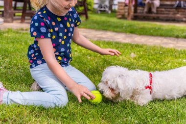 Mavi beyaz benekli tişört giyen genç bir kız çimenli bir çimenlikte oturuyor ve küçük beyaz bir köpekle yakalamaca oynuyor. Kız elinde sarı bir tenis topu tutuyor ve köpek de topa ilgiyle bakıyor..