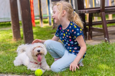 Sarı saçlı genç bir kız parkta çimlerin üzerinde oturur ve küçük beyaz bir Malta köpeği besler. Köpek göbeğinin üzerine uzanmış, dili dışarı çıkmış, ve yanında sarı bir tenis topu var..