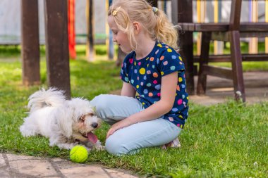 Mavi noktalı tişört giyen genç sarışın bir kız beyaz Malta köpeğiyle çimlerin üzerinde oturuyor. Köpek dili dışarıda uzanıyor, ve yanında yeşil bir top var. Kız yüzünde bir gülümsemeyle köpeğe bakıyor..