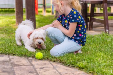 Renkli tişörtlü küçük bir kız arka bahçedeki çimlerin üzerinde oturur, küçük, beyaz bir Malta Köpeğiyle etkileşim içindedir. Köpeklerin ön pençelerinin yanında yeşil bir tenis topu görünür..