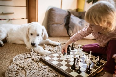 Küçük bir kız yerde satranç oynuyor, yanında beyaz bir köpek yatıp maçı izliyor..