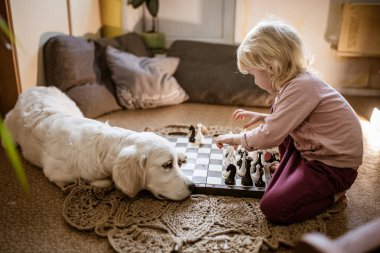 Küçük bir kız yerde oturup satranç oynarken beyaz bir köpek yandan izliyor..