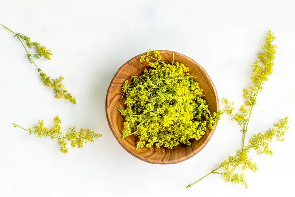 Stock image A wooden bowl filled with freshly harvested yellow cleavers sits on a white tabletop. The bowl is surrounded by additional sprigs of cleavers, some of which are arranged on the table.