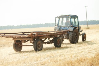 Mavi bir traktör, parlak bir gökyüzünün altındaki altın bir arazide, kırsal alandaki tarımsal aktiviteleri ön plana çıkaran ahşap bir römorku çekiyor..