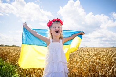 Genç bir çocuk Bağımsızlık Günü 'nü kutlarken altın buğday tarlasında Ukrayna bayrağını neşeyle sallıyor. Parlak mavi gökyüzü ve kabarık bulutlar bu samimi an için resim gibi bir zemin oluşturur..