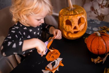 Bir çocuk, balkabakları ve sonbahar dekoru ile çevrili turuncu kağıtları Cadılar Bayramı şekillerinde kesmeye odaklanır. Samimi çalışma alanı, Cadılar Bayramı sezonunda neşeli yaratıcılığı yansıtıyor..