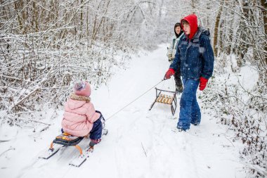 Two adults and a child participate in sledding activities during a snowy day in the woods. The child sits on a sled while being pulled along a trail by an adult. clipart