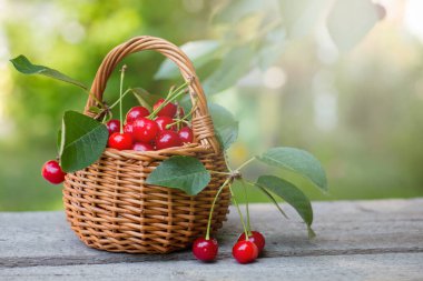 Sepetten kirazlar döküldü. Böğürtlenler arka planda yeşil çimenlerin üzerinde tahta bir kutunun üzerinde yatar. Ev yapımı reçel için böğürtlen toplamak, kış için hazırlıklar, don. Boşluğu kopyala
