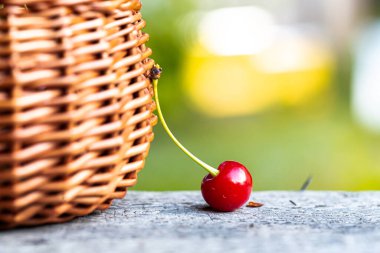 Canlı kırmızı bir kiraz, kısmen ahşap bir yüzey üzerinde duran dokuma bir sepetten sarkıyor. Bereketli yeşillik, sakin bir bahçe atmosferinde taze meyvelerin güzelliğini gösteren yumuşak bir zemin görevi görüyor..