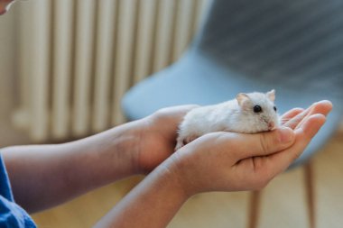 Beyaz elbiseli bir kız hamsterını tutuyor, çocukluk masumiyetinin ve evcil hayvan bakımının güzelliğini vurguluyor..