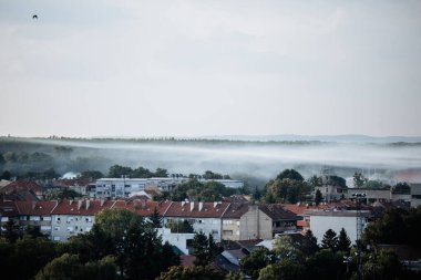 Sabahları Osijek şehrini kaplayan sivrisinek kontrol sisi, çatılar ve ağaçlar üzerine çöken sis..