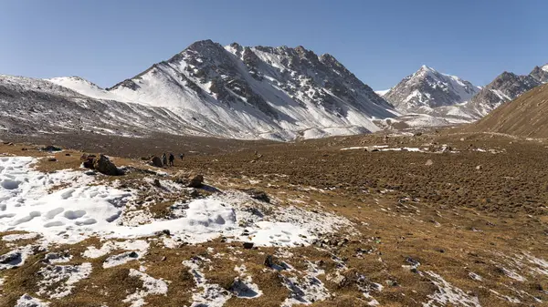 Bals Karlı Dağı manzarası