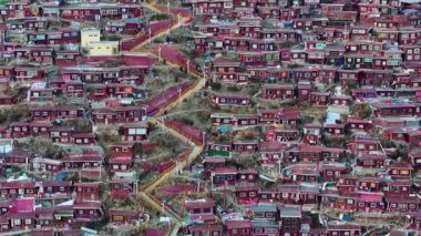 Seda County, Ganzi 'deki şaşırtıcı derecede yoğun Kızıl Üniversite Binaları, Sichuan Eyaleti, Çin