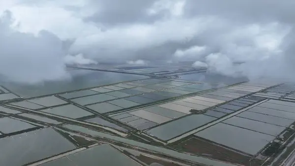 Yancheng Xiangshui Tuz Tarlalarının Doğal Sahnesi
