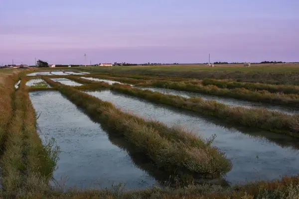 Marais Fromentine, Coucher de soleil