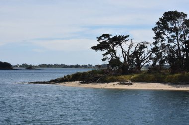 Ağaç ve toprak tükürüğü. Morbihan, Brittany 'nin golfünün güzelliği. Fransa.