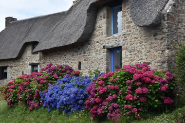 tipik bir Brittany evi sazdan çatılı ve donanımlı
