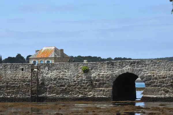 Küçük liman, Ria d 'Etel, Morbihan Gölü, Brittany Güzeli, Fransa