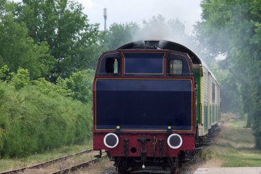Güneşli bir günde ormanda lokomotifli bir tren..