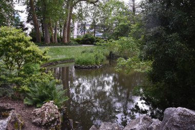 Nantes botanik bahçesindeki güzel park manzarası