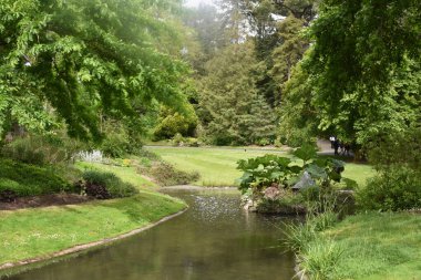 Nantes Gölü 'nün güzel manzarası botanik bahçesi