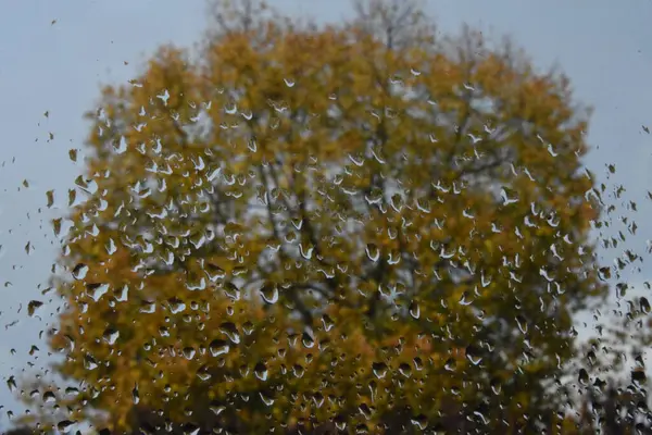 Pencere camına yağmur damlaları