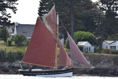 Körfez Morbihan geçit töreninde yelkenli kullanmak. Fransa 