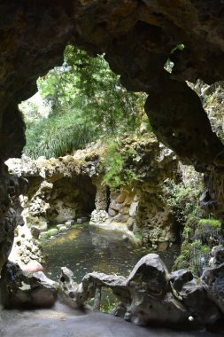 Ormandaki bir taş kemerin dikey görüntüsü. Büyük bahçe Sintra, Portekiz 'deki Quinta regaleira.. 