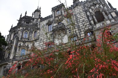 Portekiz, Sintra 'daki Quinta regaleira' nın güzel manzarası. 